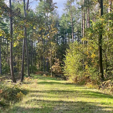 Restauracja Wesola 3* Lisia Gora (Tarnow)