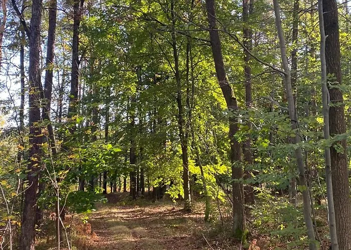 Restauracja Wesola Lisia Gora (Tarnow)