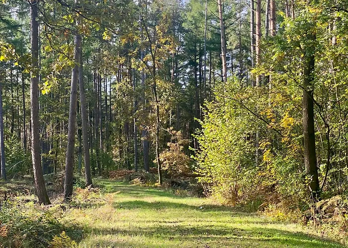 Restauracja Wesola 3* Lisia Gora (Tarnow)