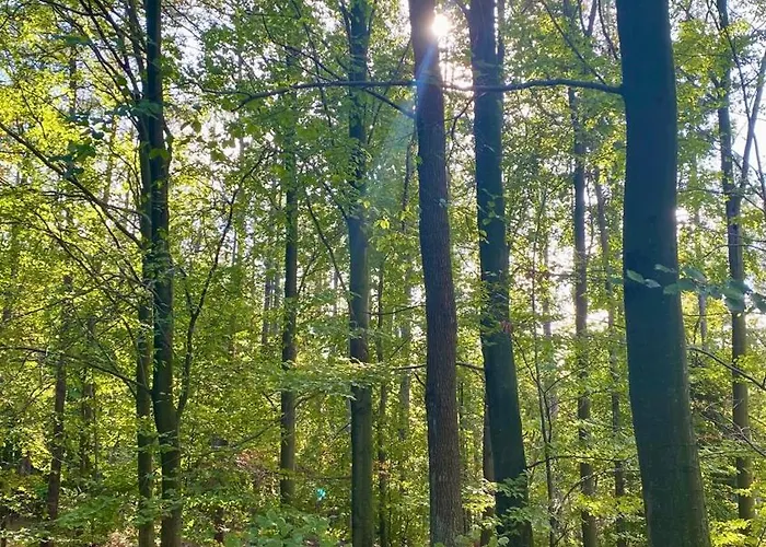 Restauracja Wesola Hotel Lisia Gora (Tarnow)